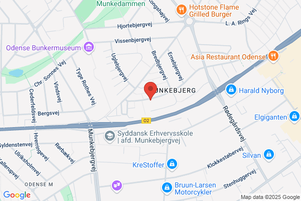 Dagplejeordning, Den Kommunale