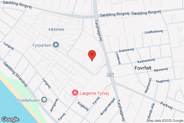 Esbjerg Jiu-Jitsu klub