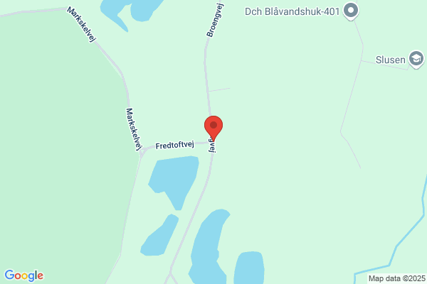 Hoelgaard, Hardy H.
