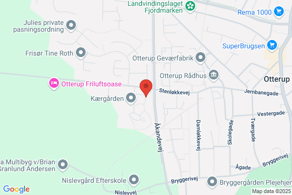 Hjemmeplejen/Ældreområdet