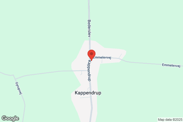 Hasmark Slagterforretning
