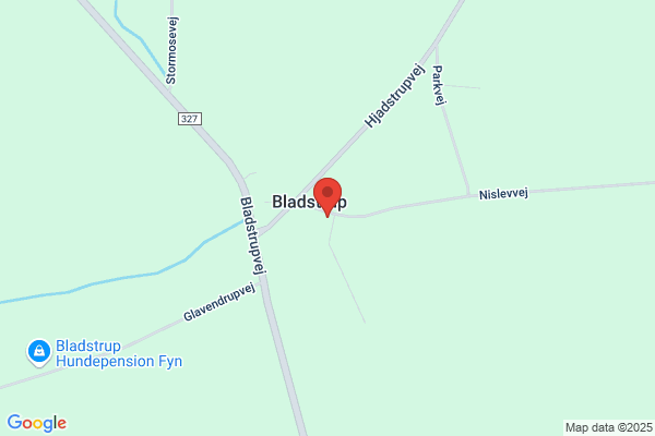 Bladstrupsmeden ApS