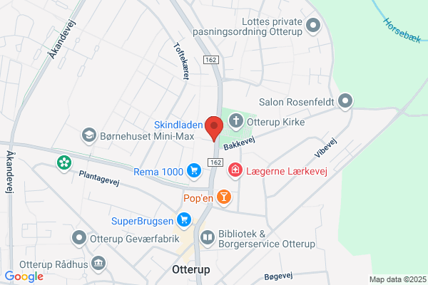 Det danske Spejderkorps