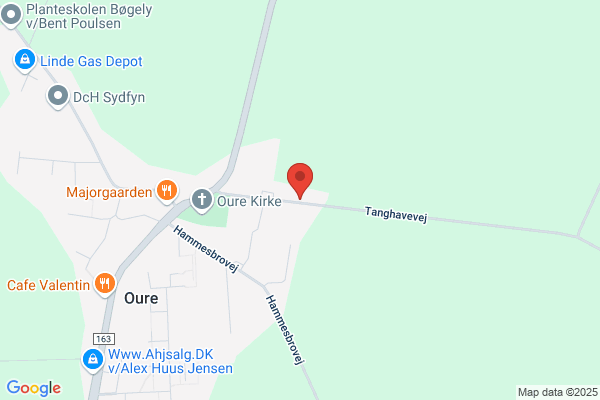 Oure sogns menighedsråd