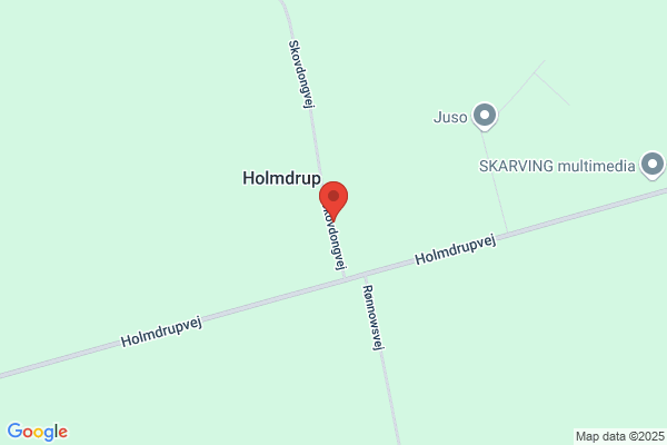 Skovdong Byg og Maskinservice
