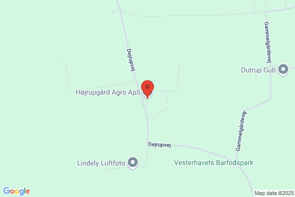 Hoelgaard, Hardy H.