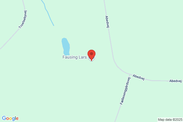 Frausing, Lars