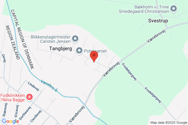 Børne- og ungdomsorg. Samråd, BUS
