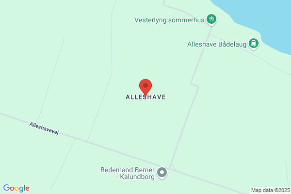 Alleshave