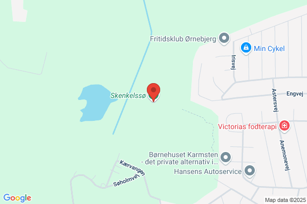 Skenkelsø Lyng