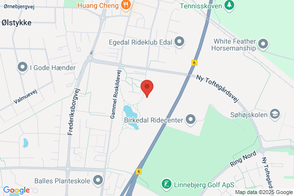 Ostenfeld, Hans