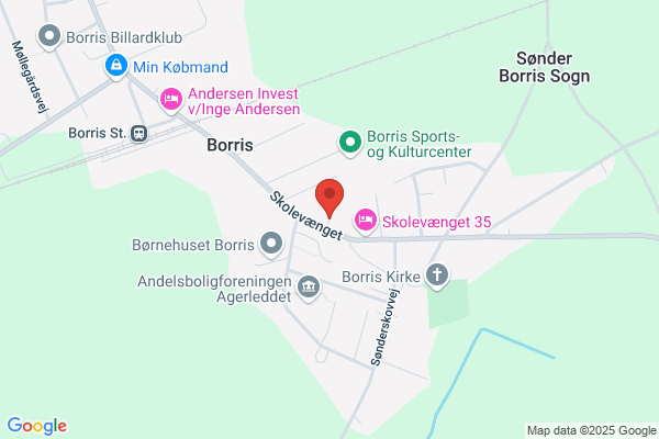 Borris Skole
