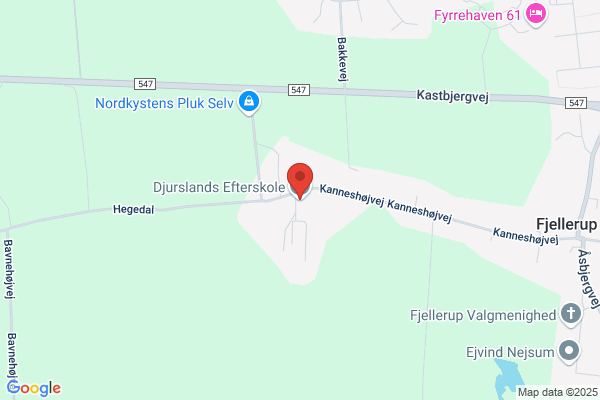 Djurslands Efterskole