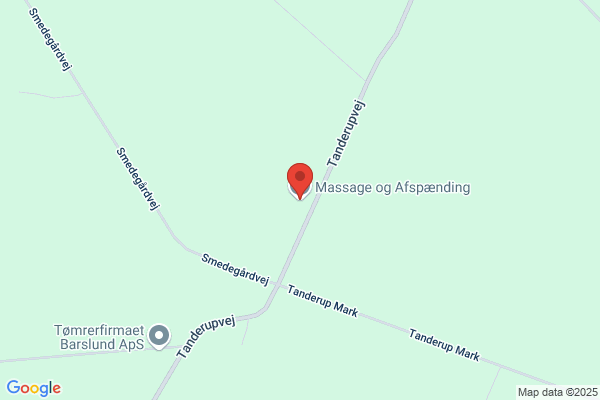 A. H. Fysiurgisk Massage