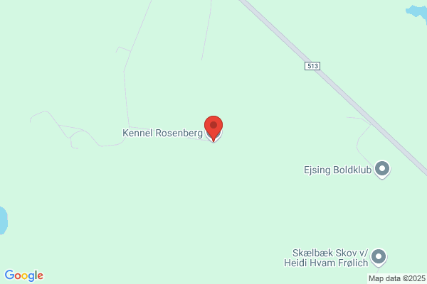Riis, Kennel