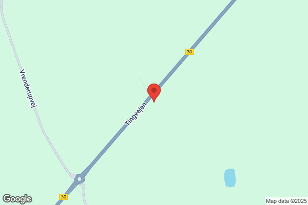 Schmidt, Erling