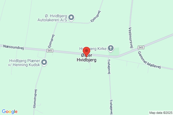 Lægerne i Ø. Hvidbjerg