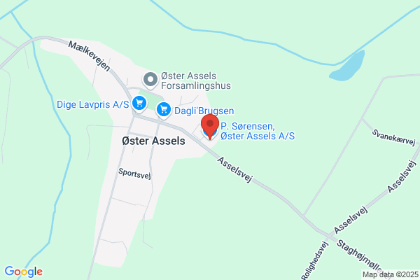 Øen's Autoværksted