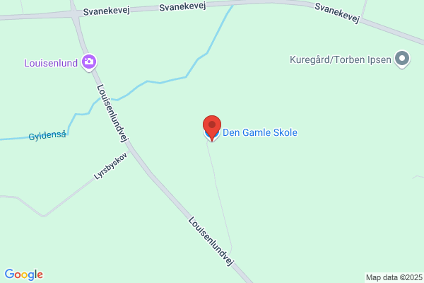 Gamle Skole, Den