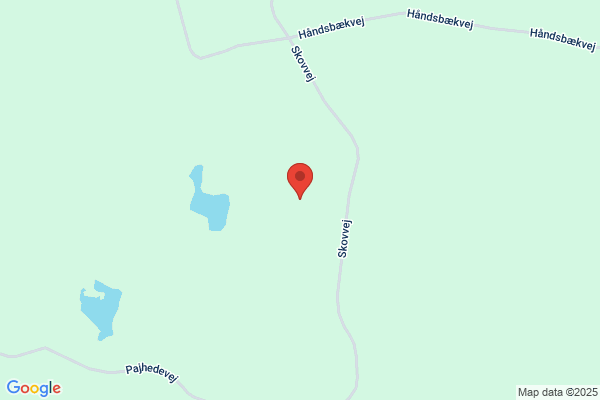 Pajhede Skov