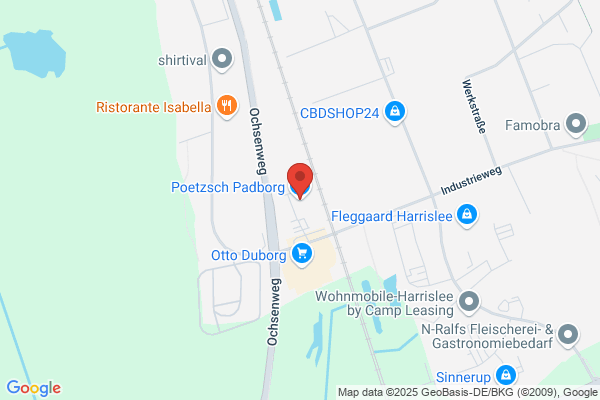 Poulsen, Dines