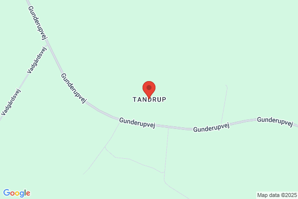 Tandrup, Knud Steen