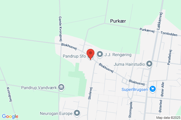 Pandrup Skole