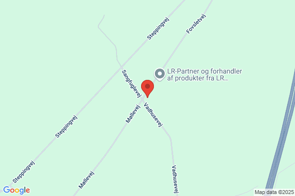Hermansen J