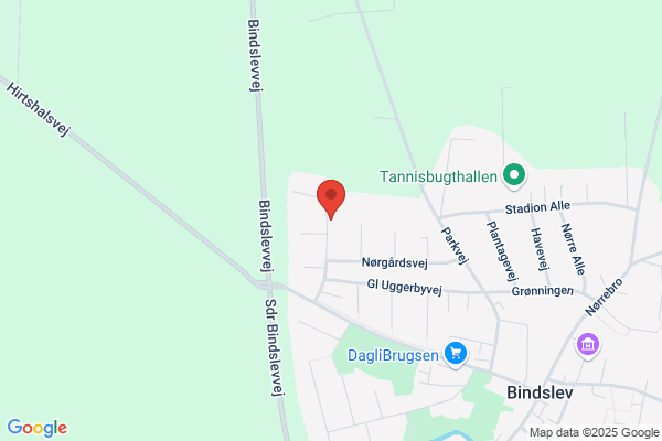 Bindslev Lisbeth