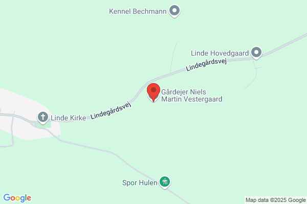 Vestergaard, Niels