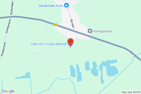 Løvetand