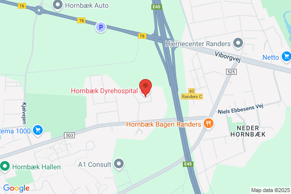 Hornbæk Dyreklinik