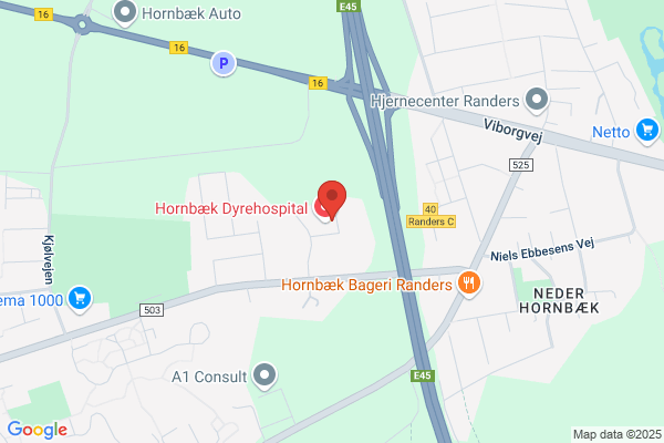 Hundehuset