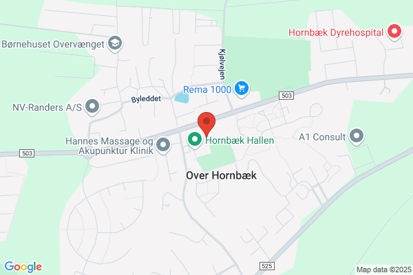 Hornbæk Skole