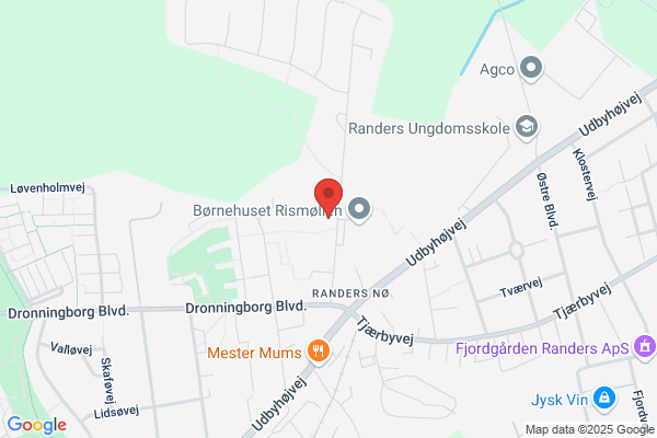 Rismølleskolen
