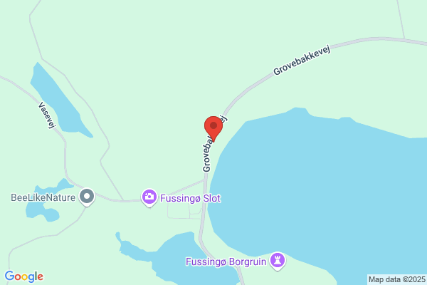 Hoelgaard, Hans Henrik