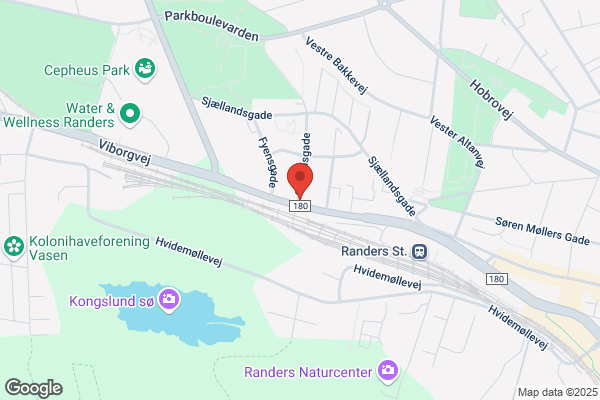 Vesterbro's Bodega