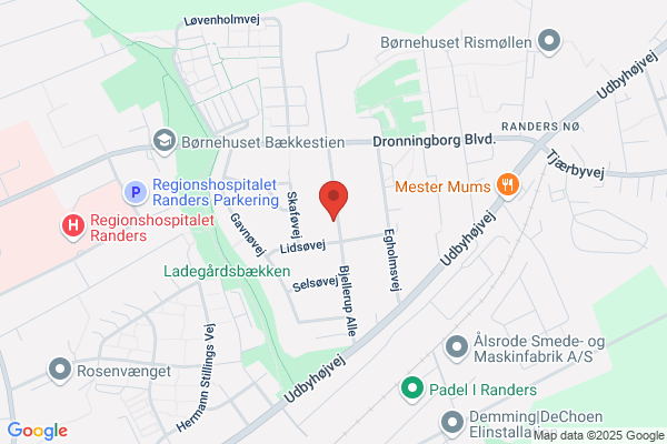 Randers Vinduespolering