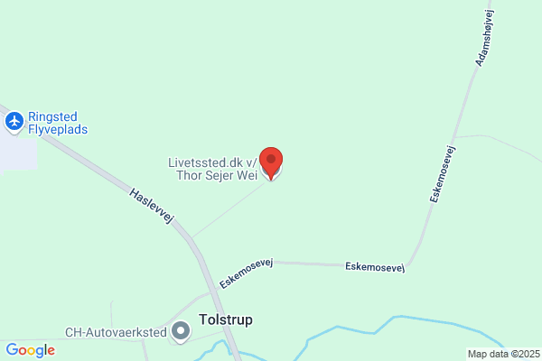 Livetssted.dk v/Thor Sejer Weimar