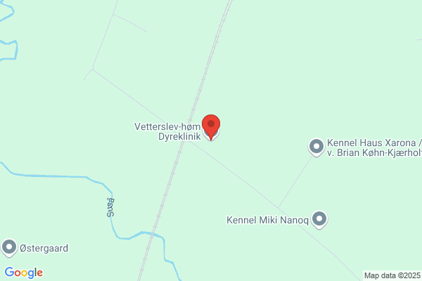 Vetterslev - Høm Dyreklinik