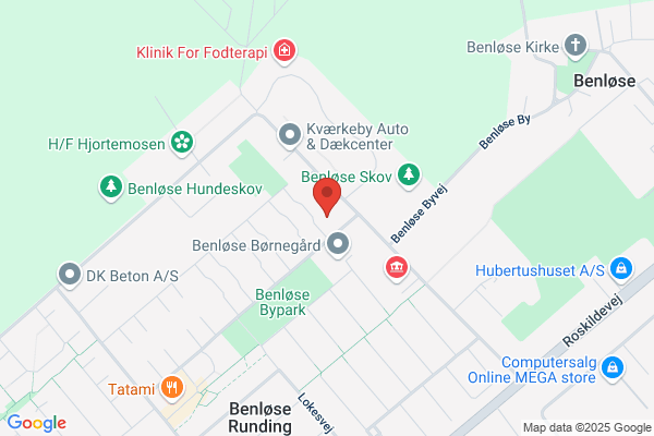 Ringsted Multiservice