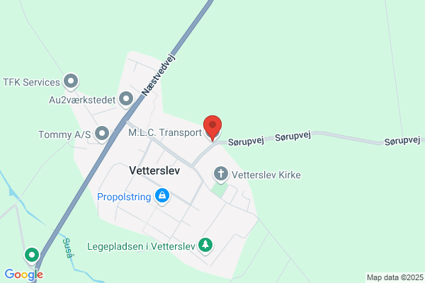 Lars M Transport