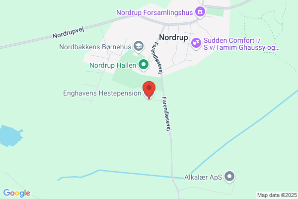Køgevejens Hestepension (Gitte Merete Olsen)