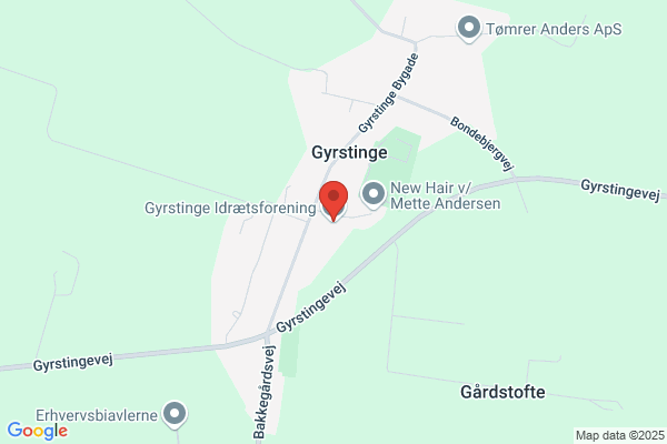 Gigtforeningen, Gigtgruppen i Ringsted