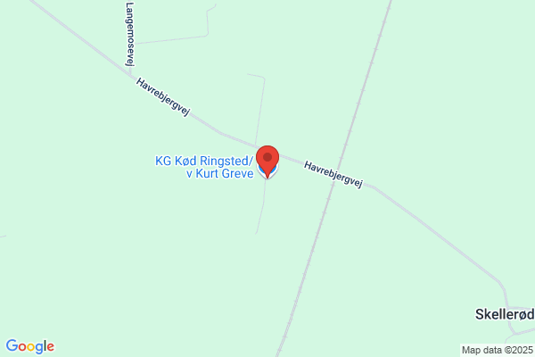 Kramer Kurt F