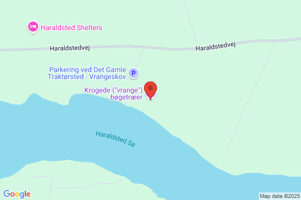 Brolæggersvenden