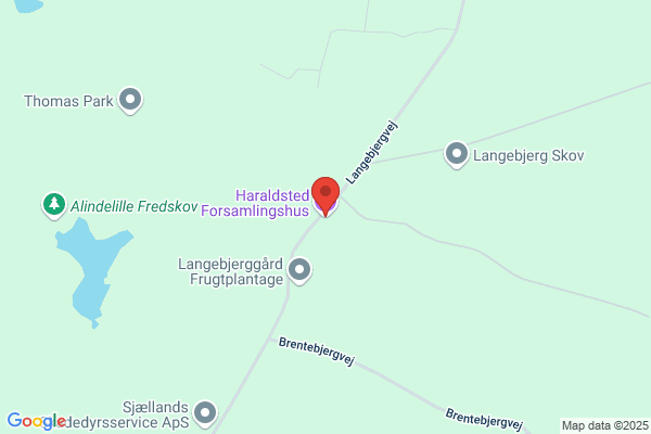 Ringsted-vvs.dk