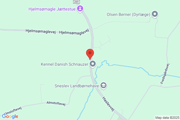Sneslev Nærbutik