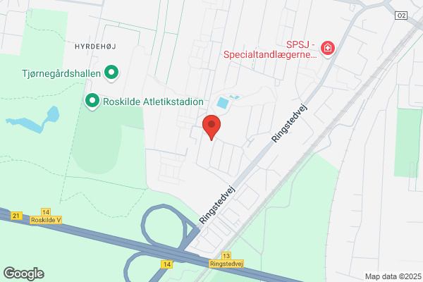 Foreningskonsulenten (Lars Bro)