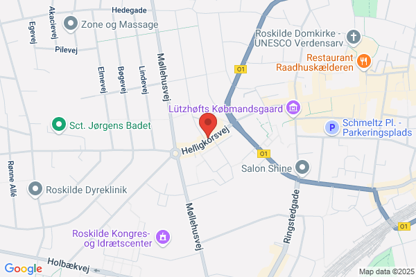 Ro´s Køreskole (Ramin Rostami Khojasteh)